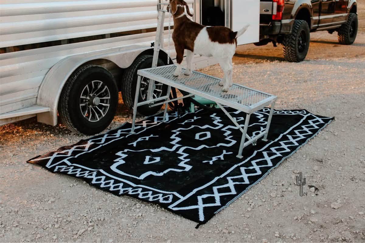 *Pre-Sale* Outdoor Rug